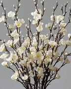 Cream plum blossom stems filling the frame, the flowers open along the whole branch