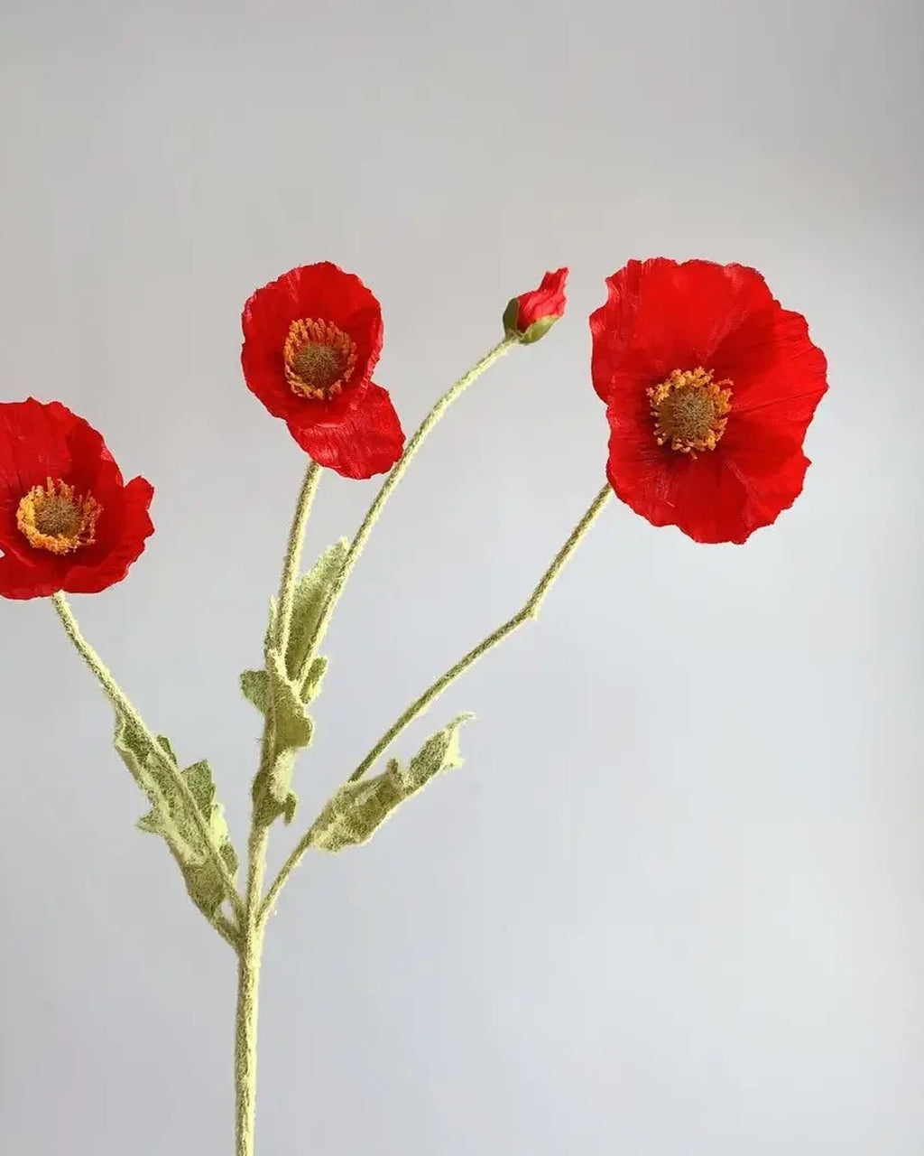 A red poppy stem, the deepest of the reds in the range