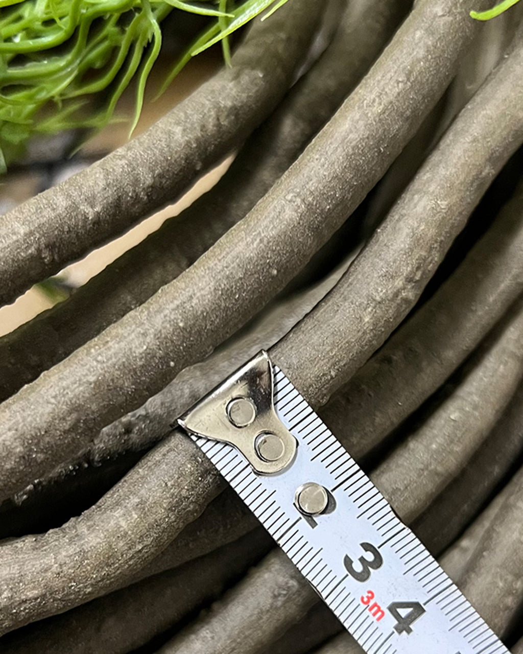 A tape measure laid across the brown vine to show how thick the strand is