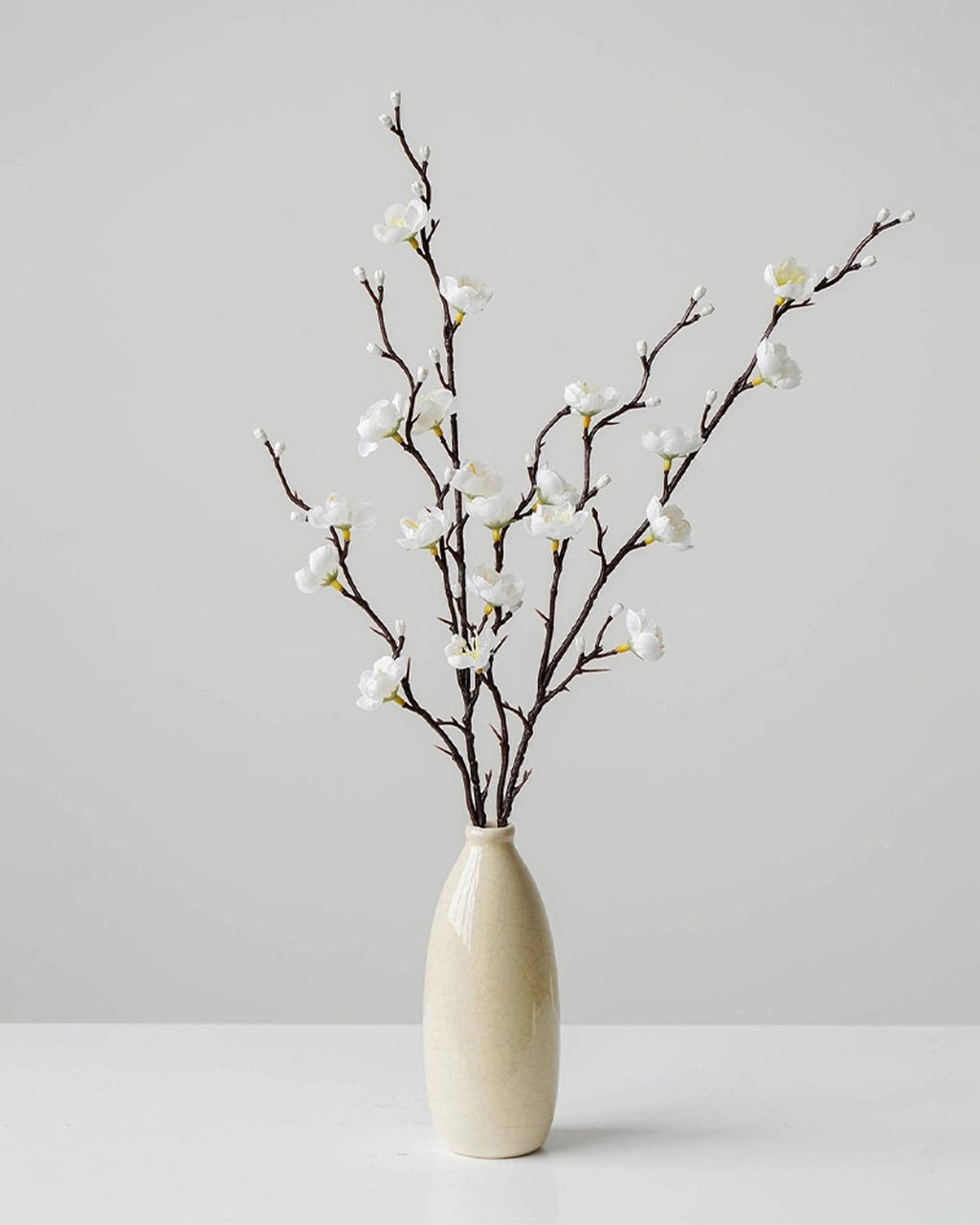 White plum blossom stems in a slim cream vase (vase not included)