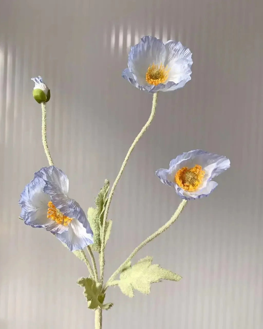 A pale blue poppy stem against a ribbed glass background