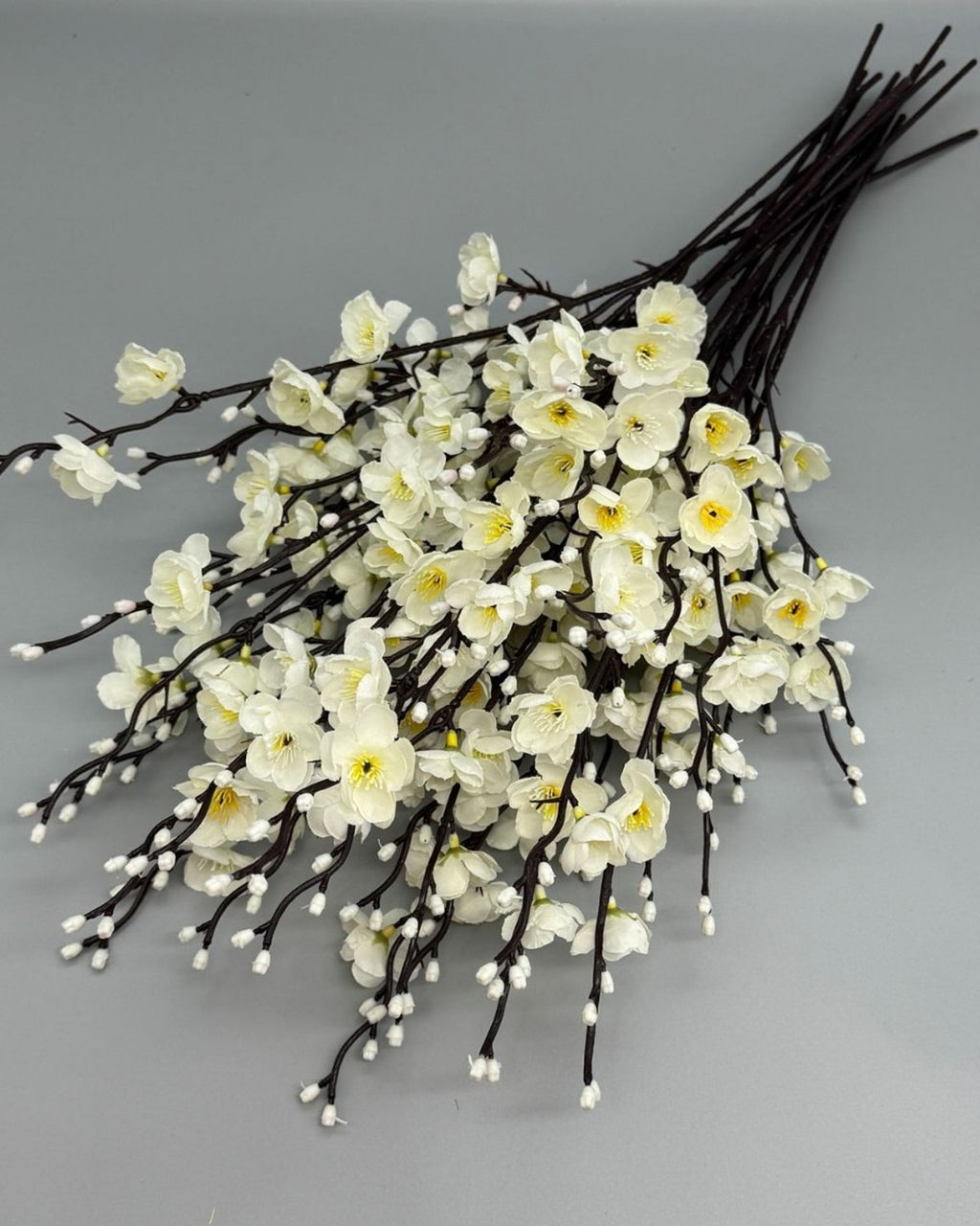 Cream plum blossom stems laid flat and fanned out