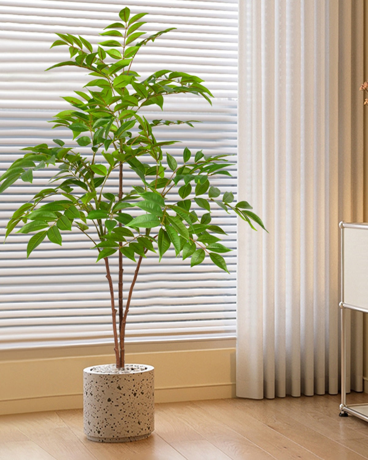 The ficus branch standing in a speckled stone pot beside a window (pot not included)