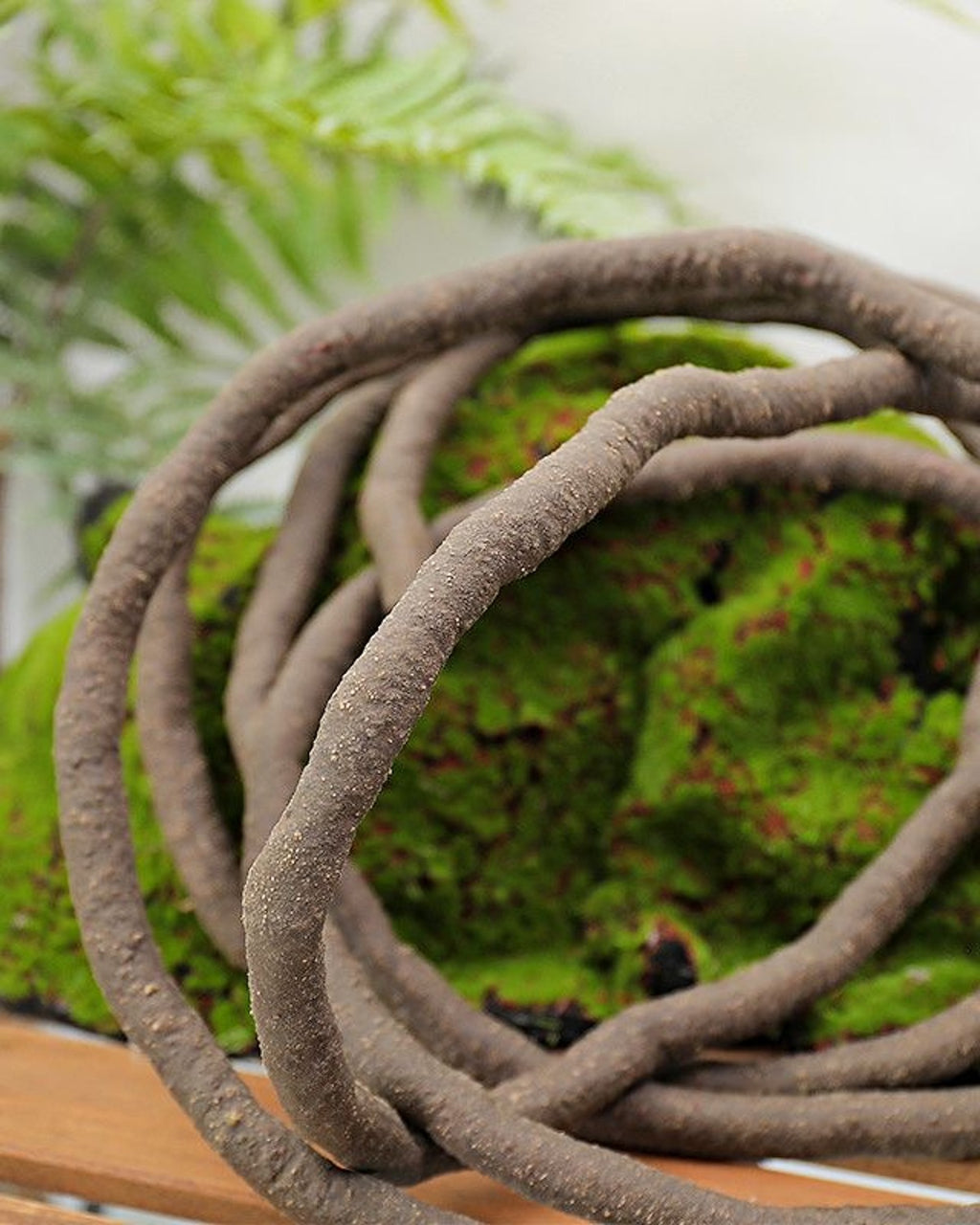 A closer view of the coiled brown vine, showing how the loops sit when it is left slack