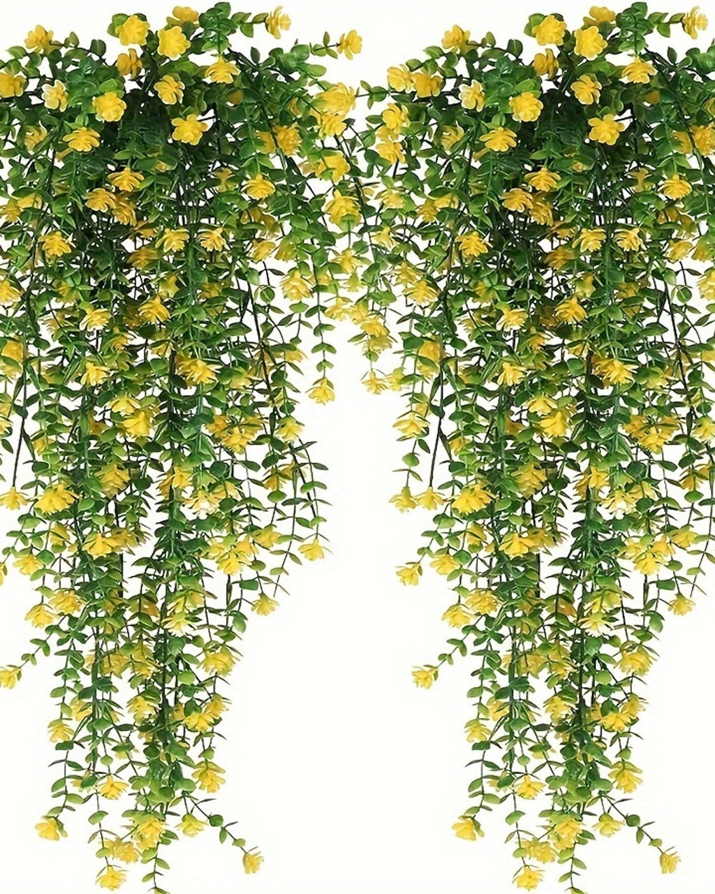 Two yellow flowering vines from the pack, shown against a plain white background