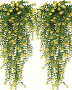 Two yellow flowering vines from the pack, shown against a plain white background