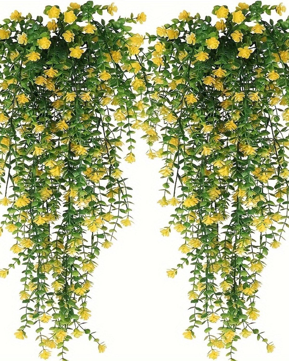 Two yellow flowering vines from the pack, shown against a plain white background