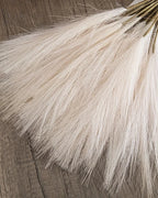 The bunch of pampas stems laid on a wooden surface, seen from above