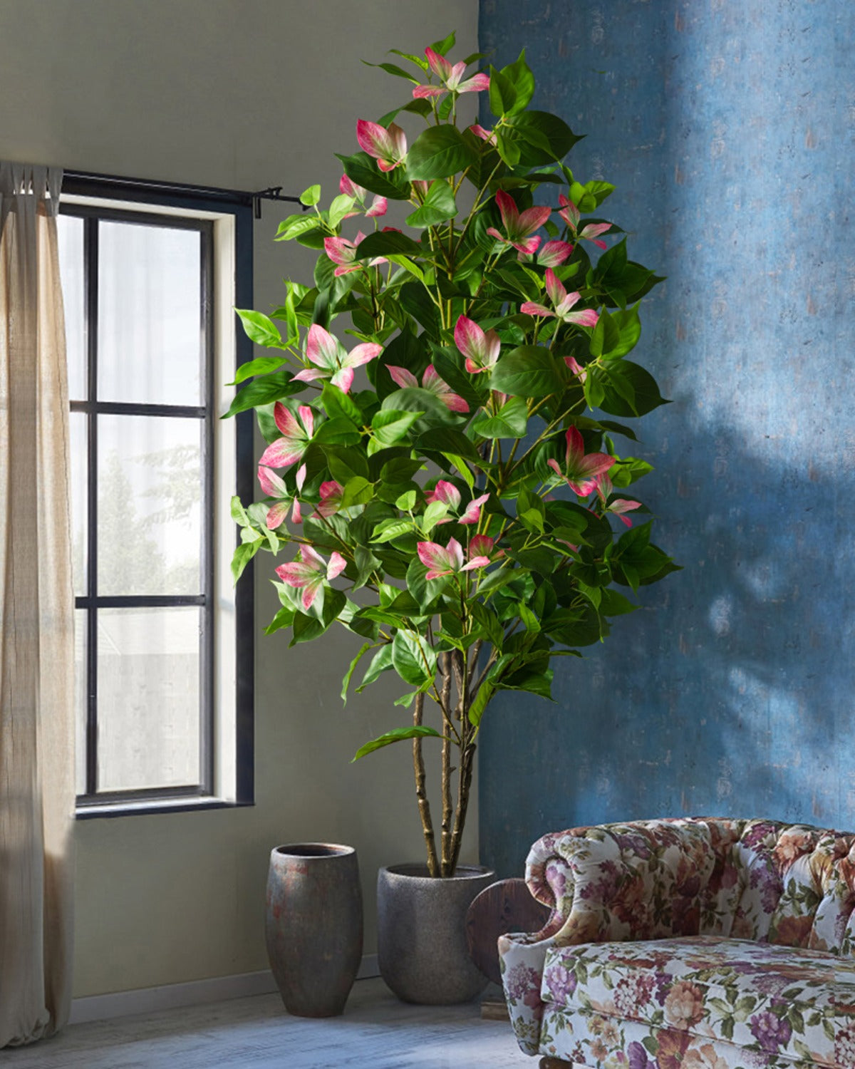 The variegated branch with rose pink tips beside a window (pot not included)