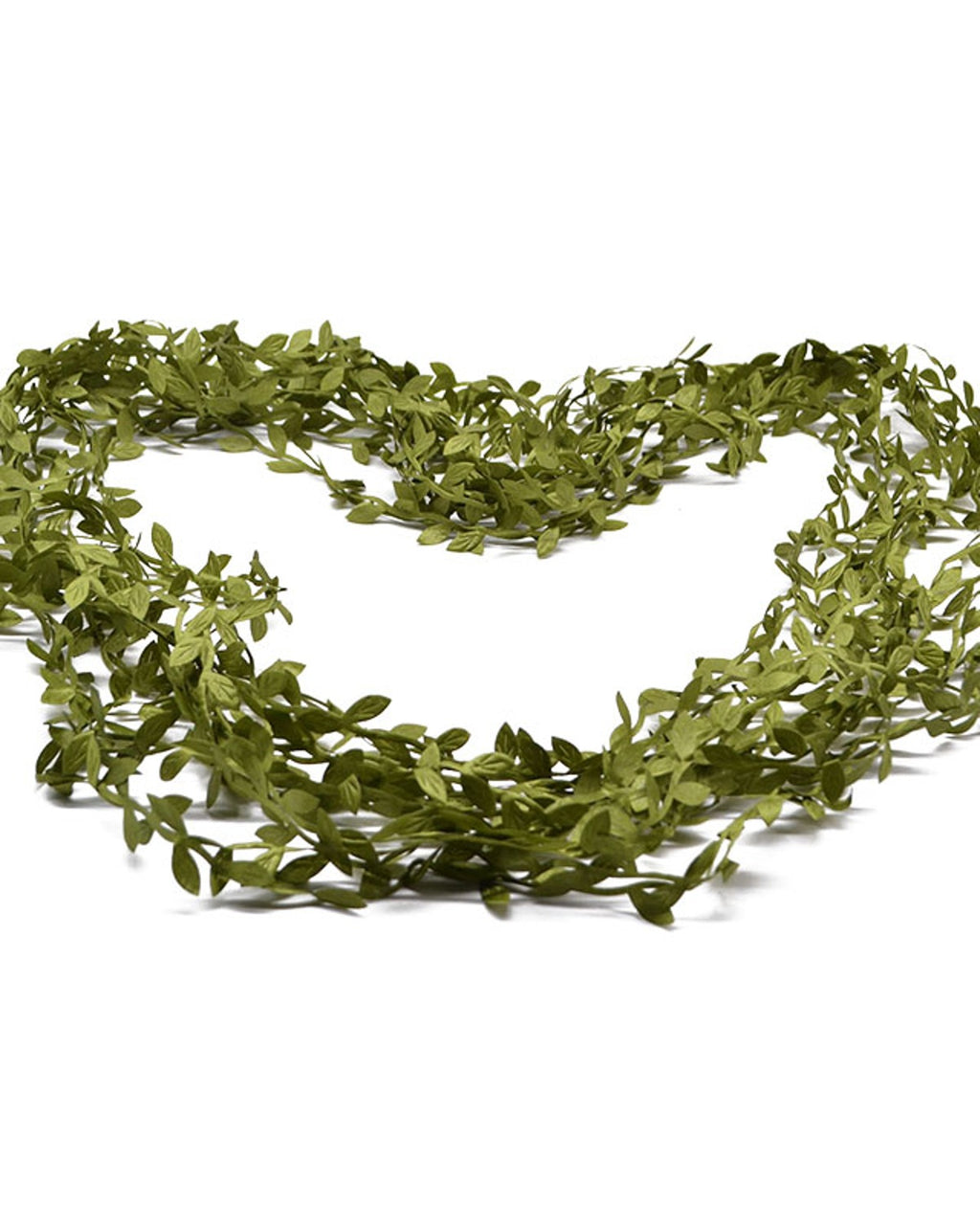 The leaf trim laid out in wide loops on a white background