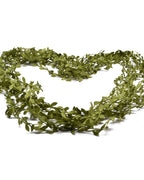 The leaf trim laid out in wide loops on a white background