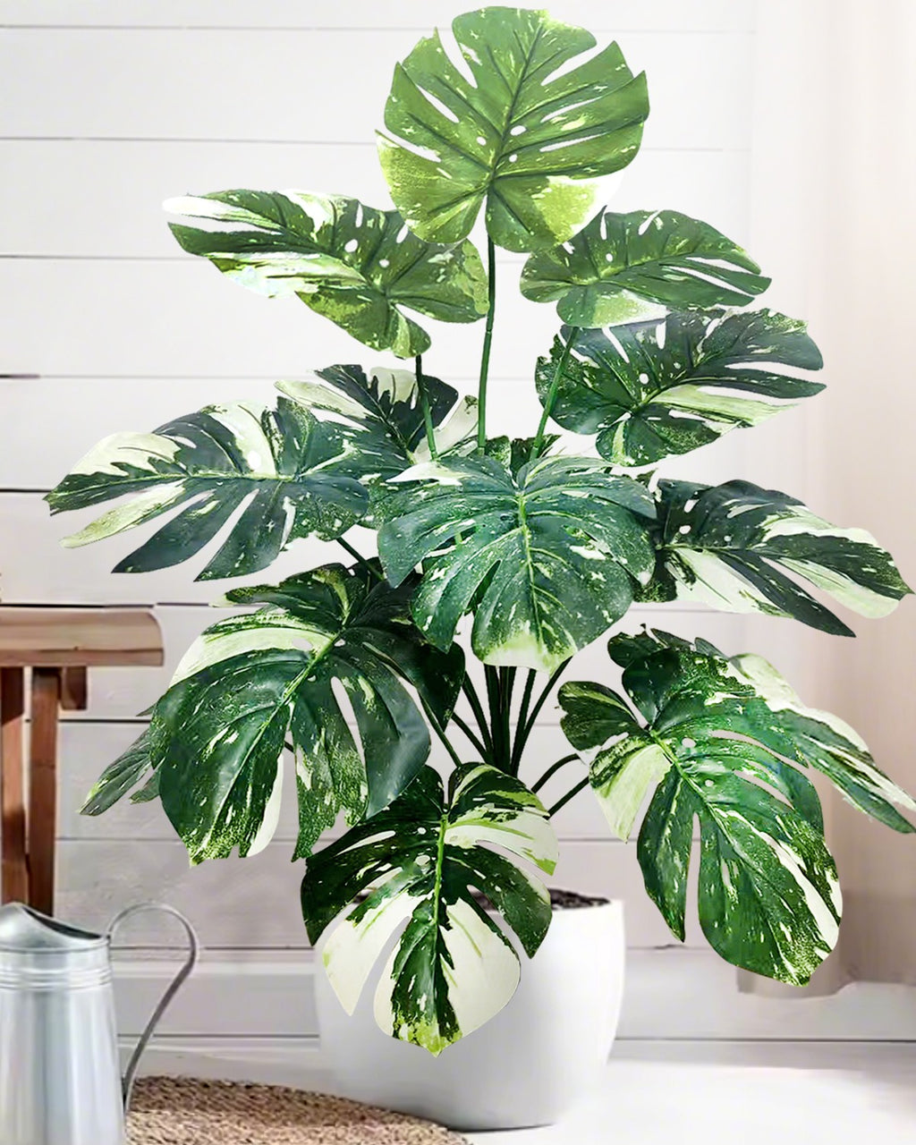 The monstera bush in a white pot on a rug, beside a metal watering can (pot not included)