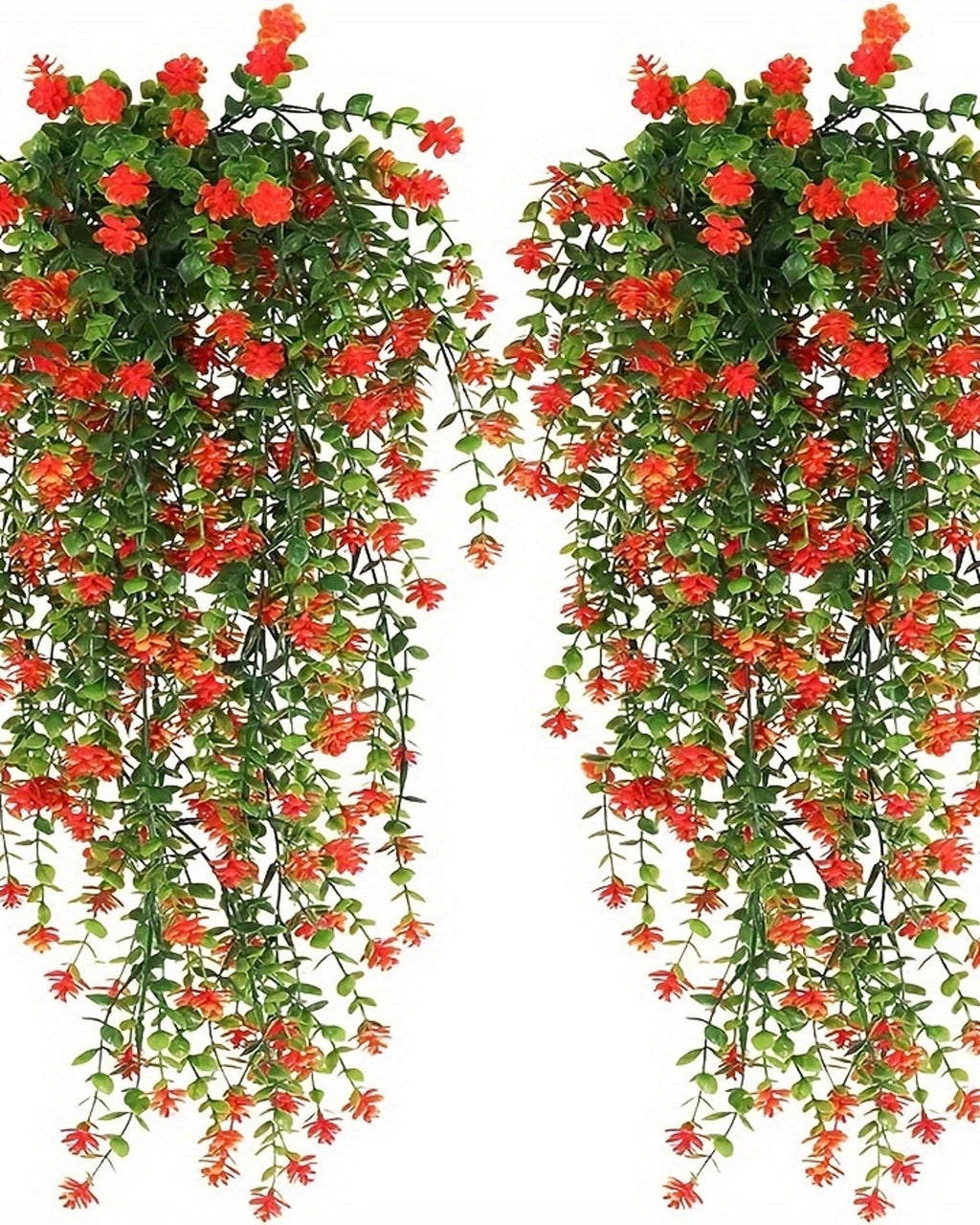 Two orange flowering vines from the pack, shown against a plain white background