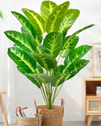 The variegated leaf style in a woven basket beside a small cabinet (basket not included)