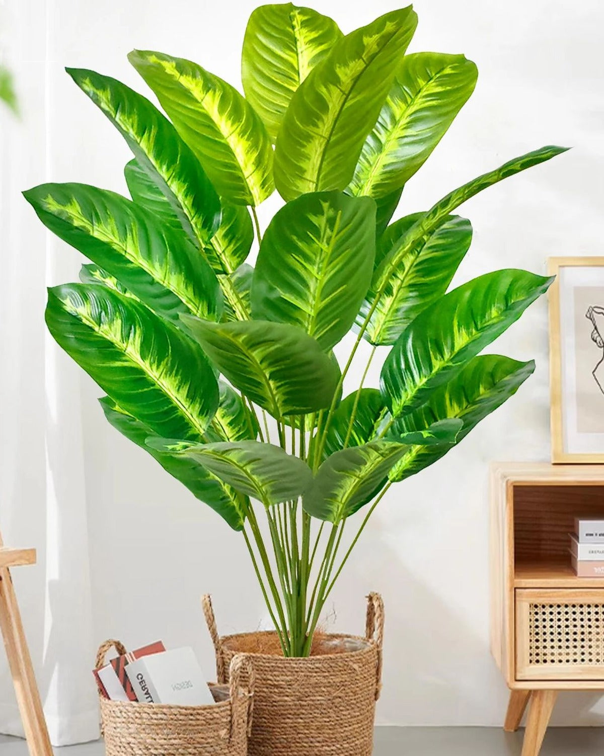 The variegated leaf style in a woven basket beside a small cabinet (basket not included)