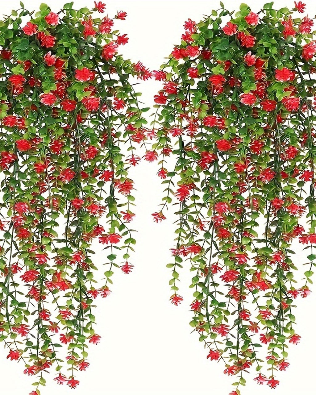 Two red flowering vines from the pack, shown against a plain white background