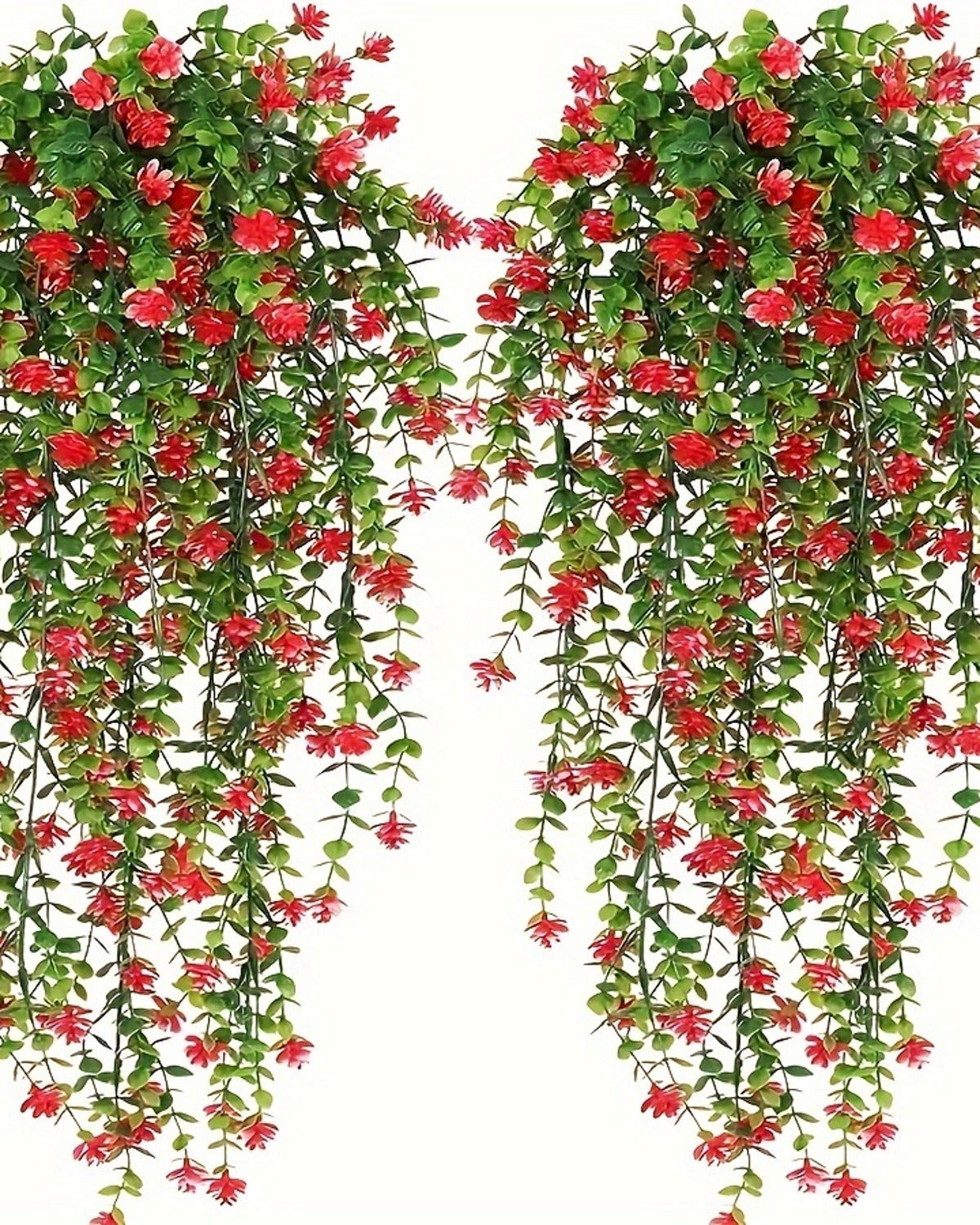 Two red flowering vines from the pack, shown against a plain white background