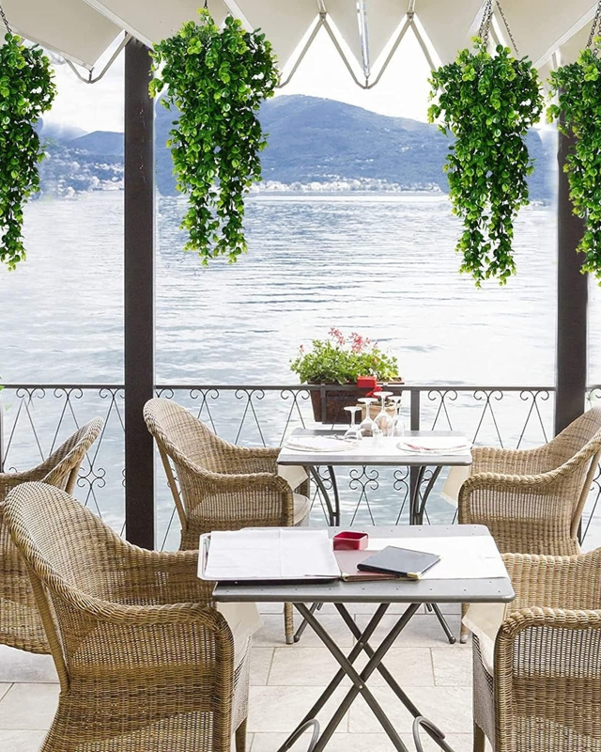 The vines hanging from the frame of a lakeside terrace; one vine per order