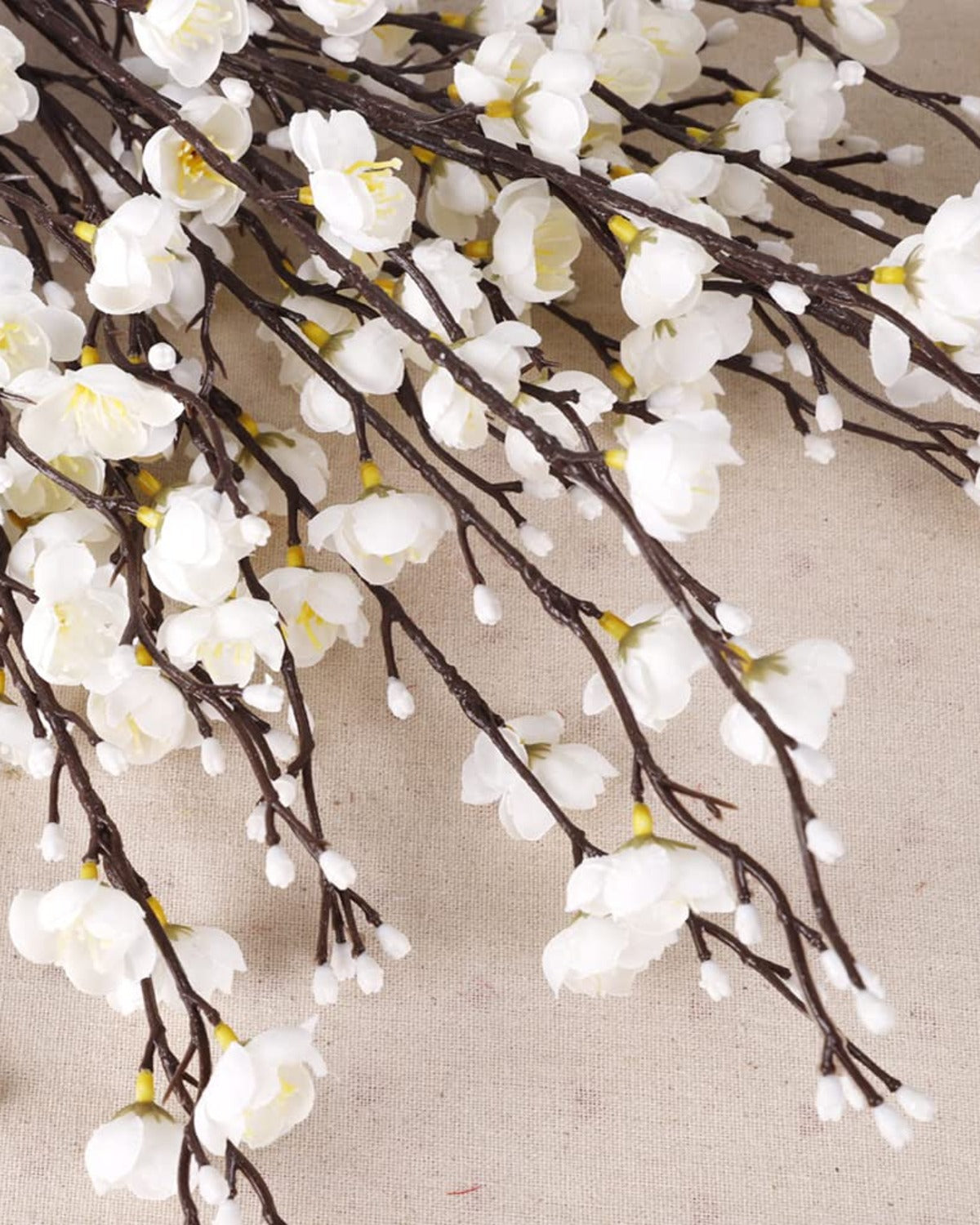 Close view of the white plum blossom flowers against linen