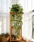 Artificial trailing vine on the top tier of a wooden plant stand by a bright window