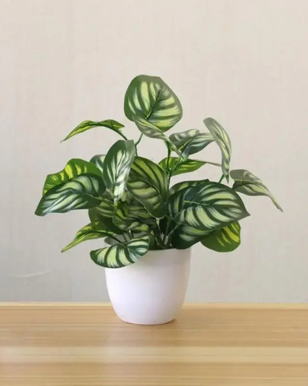 Leaf style: watermelon leaf, the plant in its white ceramic pot
