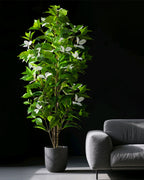 The variegated branch with white tips beside a gray sofa (pot not included)