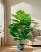 The elephant ear plant in a corner beside a pale sofa, its leaves catching the light (pot not included)