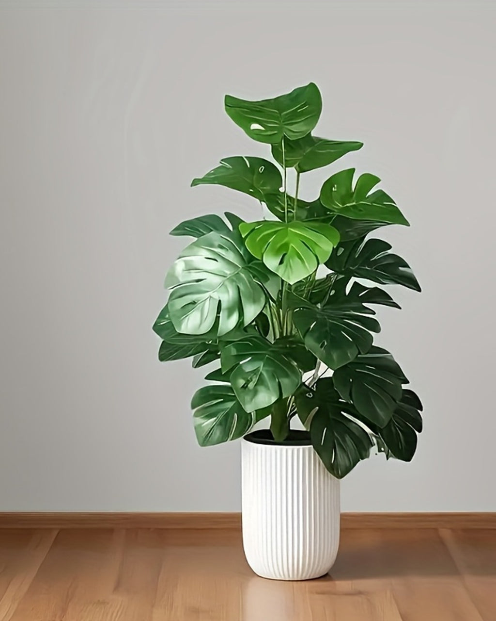 The monstera plant in a ribbed white pot on a wooden floor (pot not included)