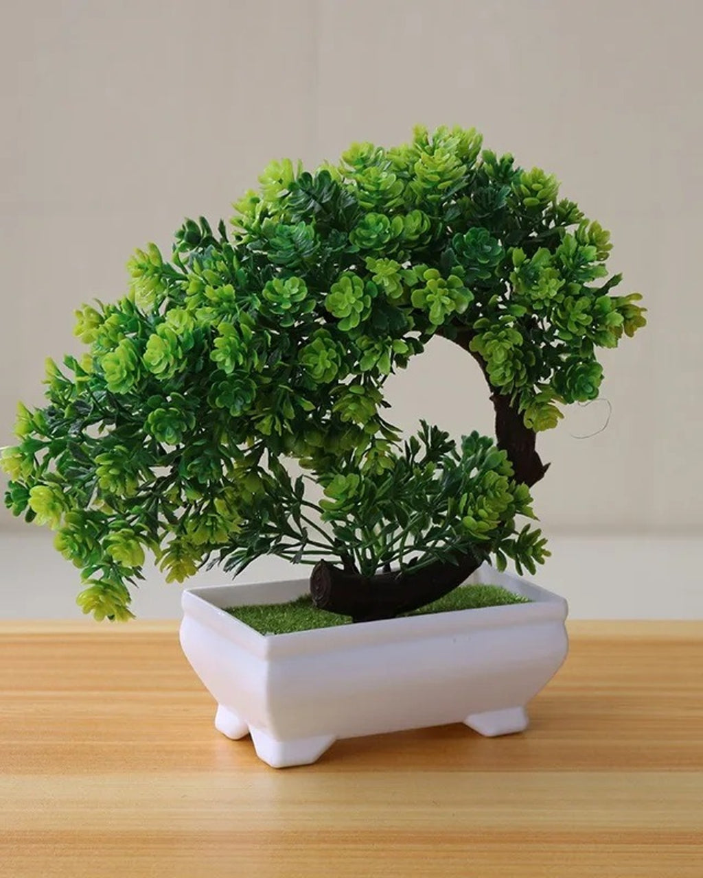 Green bonsai in a white ceramic tray, the canopy curving down over the rim