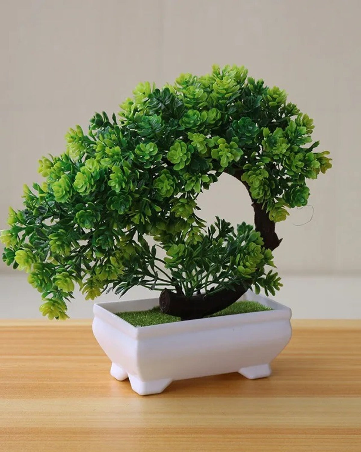 Green bonsai in a white ceramic tray, the canopy curving down over the rim