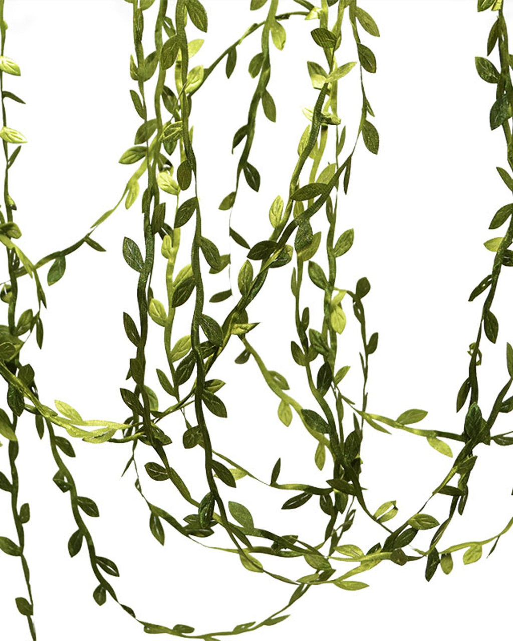 Lengths of the leaf trim hanging straight down, showing the leaves along the cord