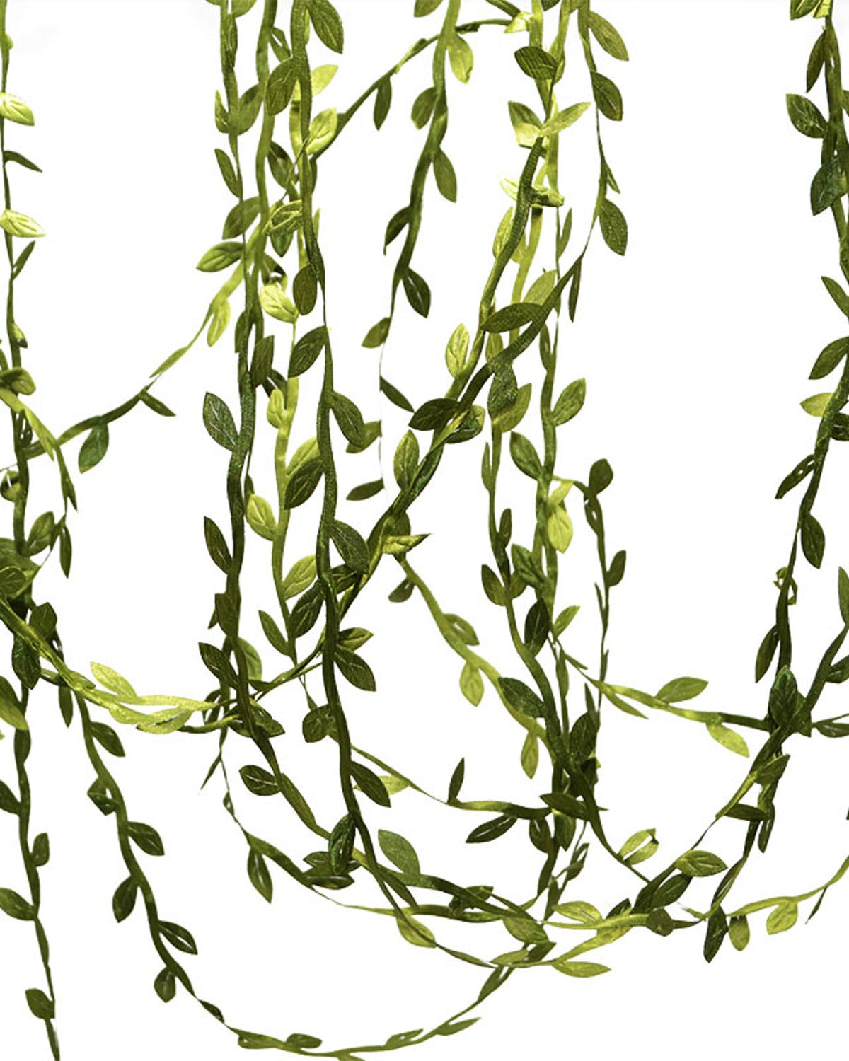 Lengths of the leaf trim hanging straight down, showing the leaves along the cord