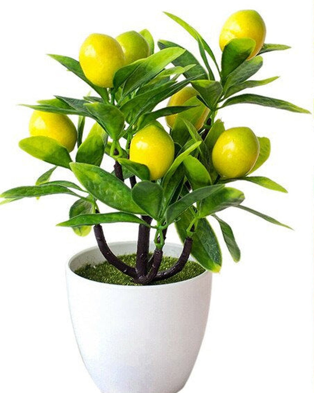 The artificial lemon bonsai tree in its white pot on a plain white background.