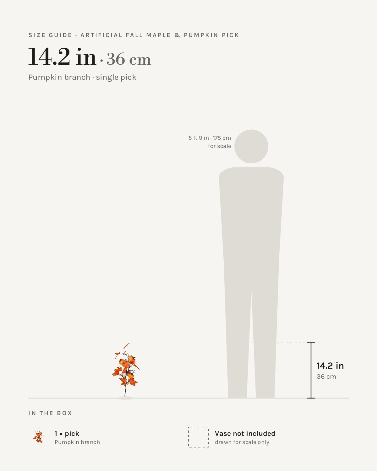Size guide: pumpkin branch pick at 14.2 in, beside a 5 ft 9 in figure