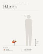 Size guide: maple and dark berries pick at 14.2 in, beside a 5 ft 9 in figure