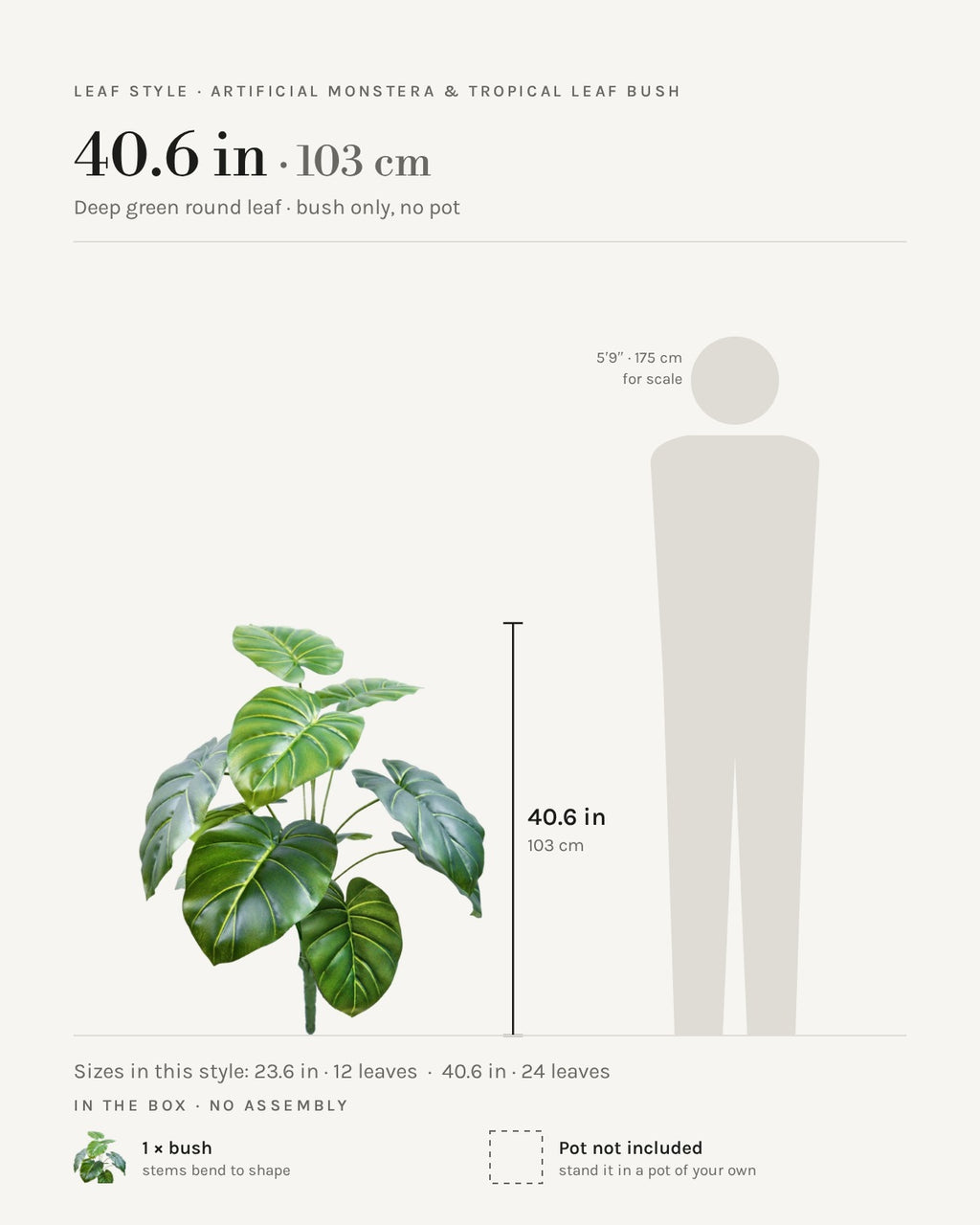 Leaf style: deep green round leaf, shown at 40.6 in beside a 5 ft 9 in figure