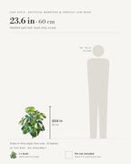 Leaf style: marbled split leaf, shown at 23.6 in beside a 5 ft 9 in figure
