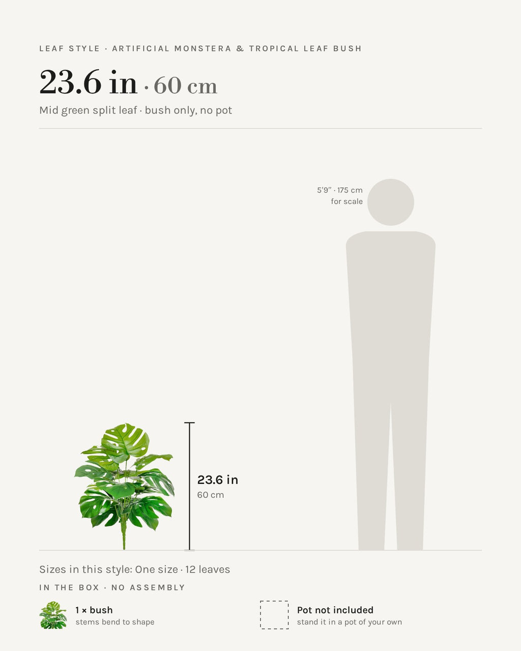 Leaf style: mid green split leaf, shown at 23.6 in beside a 5 ft 9 in figure