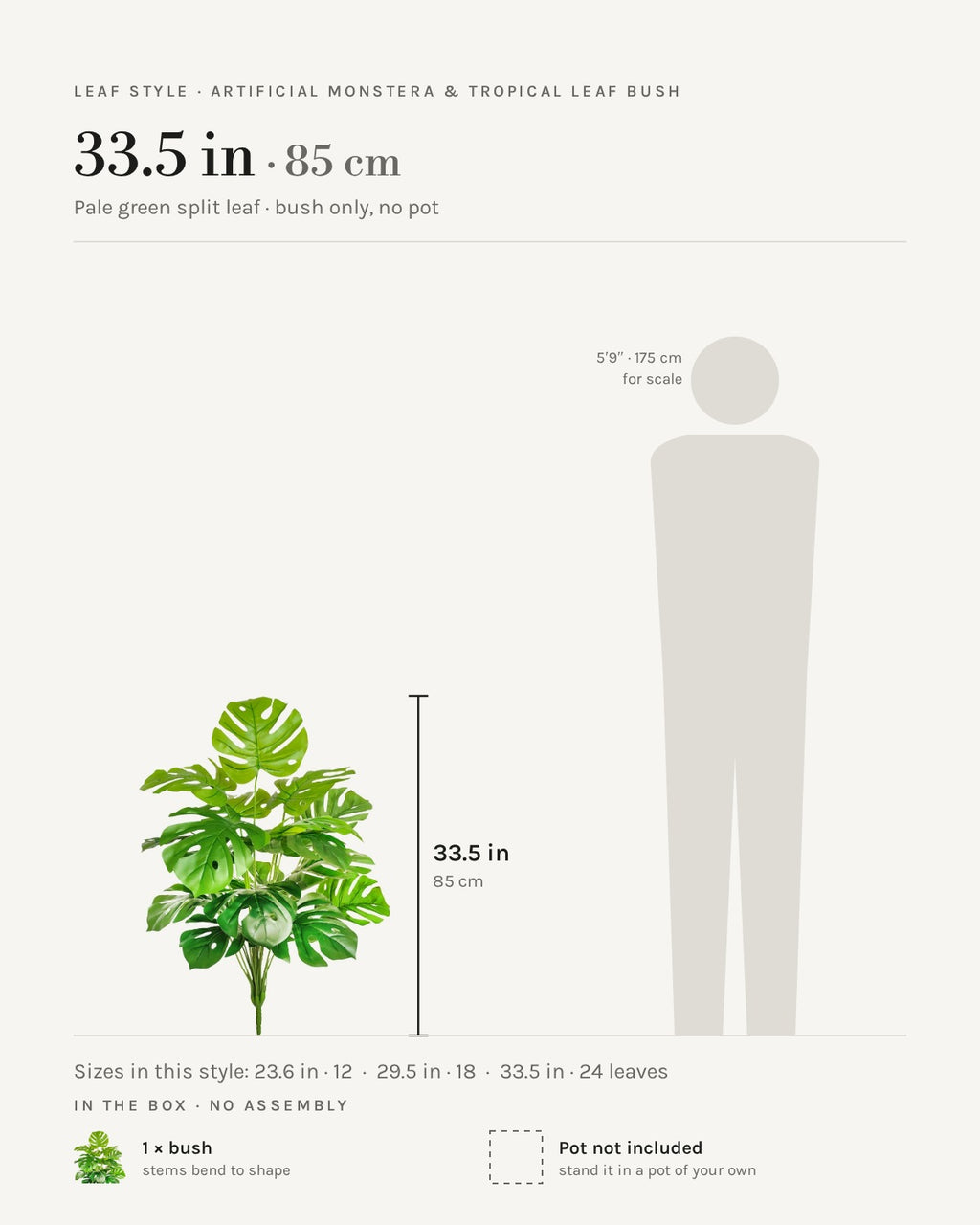 Leaf style: pale green split leaf, shown at 33.5 in beside a 5 ft 9 in figure