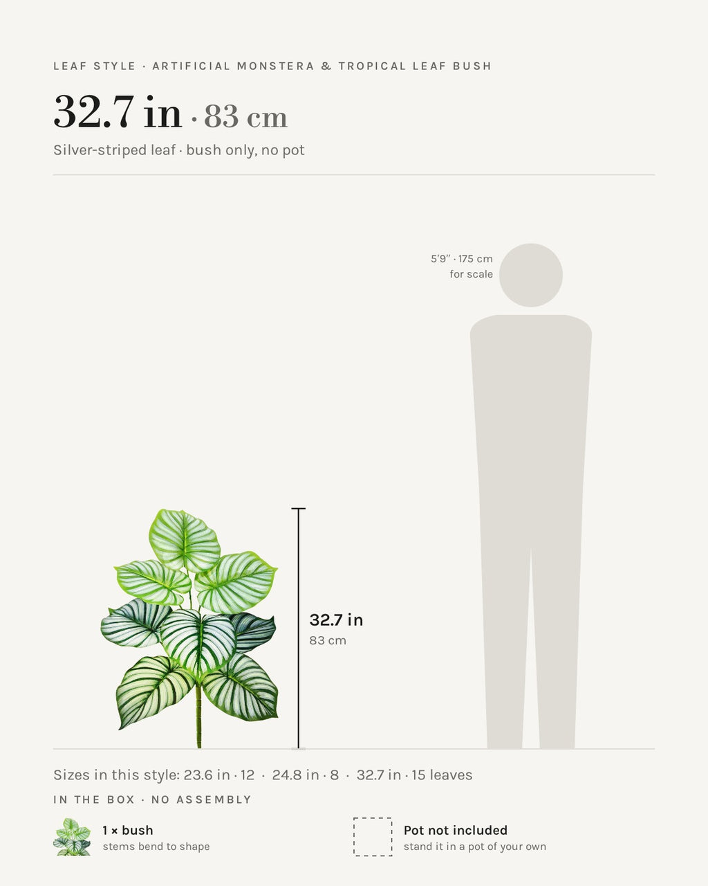 Leaf style: silver-striped leaf, shown at 32.7 in beside a 5 ft 9 in figure