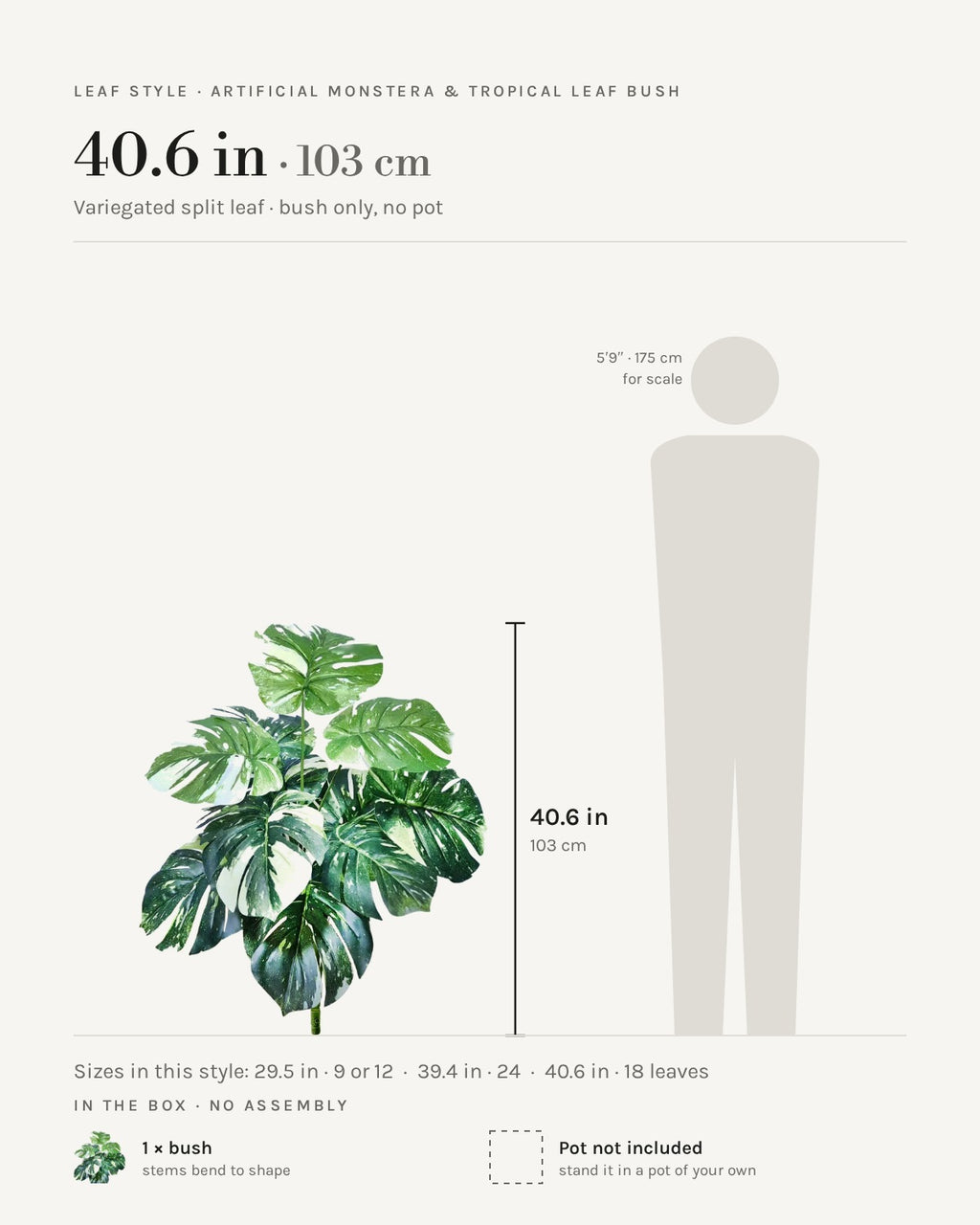 Leaf style: variegated split leaf, shown at 40.6 in beside a 5 ft 9 in figure