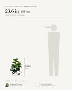 Size guide: artificial monstera, 23.6 in / 60 cm tall with 12 leaves, shown beside a 5 foot 9 figure. Pot not included.
