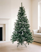 The green with frosted tips tree, undecorated, on its dark folding stand beside a plain white fireplace