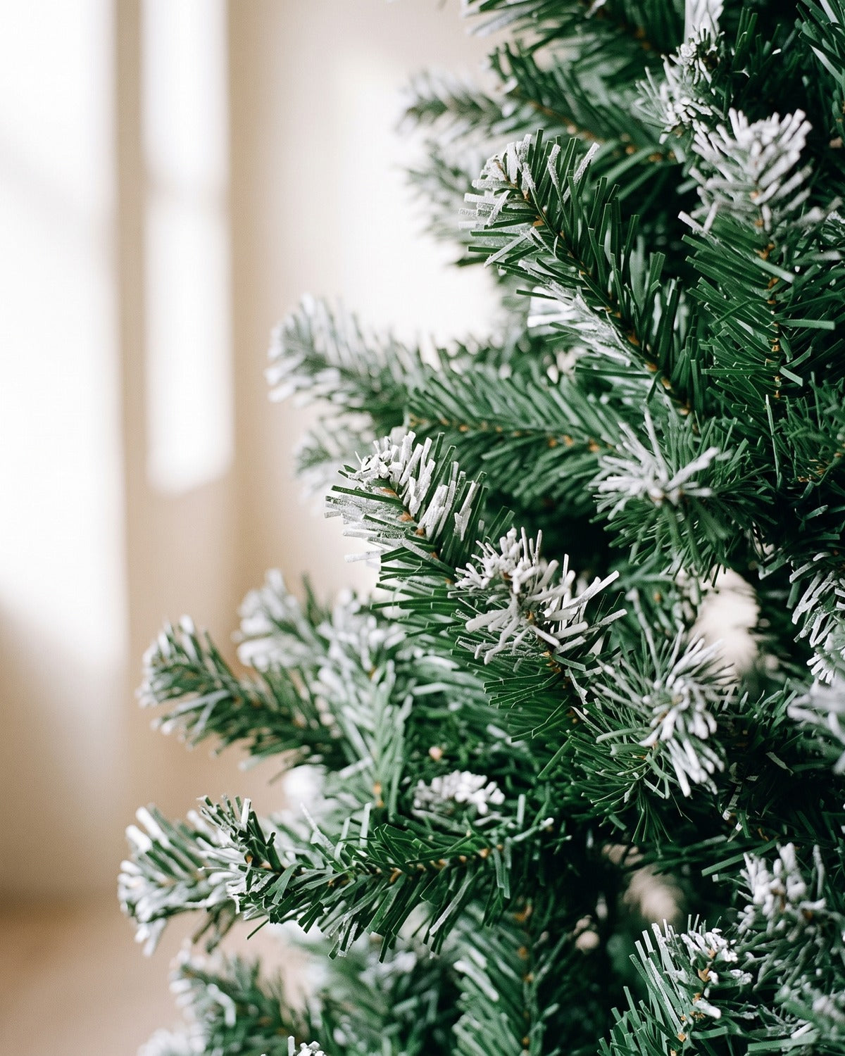 The green with frosted tips tree close up: green needles, each tip lightly frosted