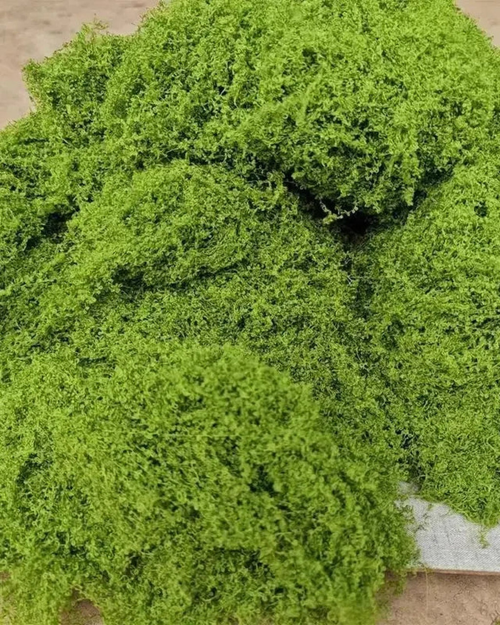 Close-up of the artificial moss fiber.