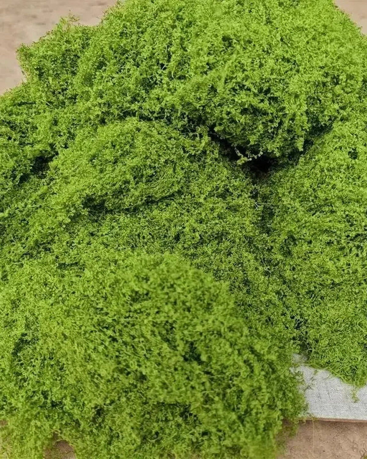 Close-up of the artificial moss fiber.