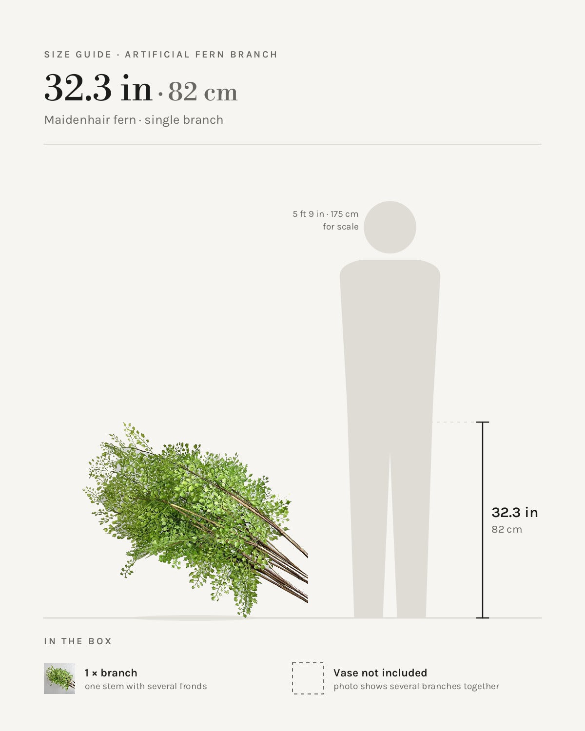 Size guide: maidenhair fern branch at 32.3 in, beside a 5 ft 9 in figure