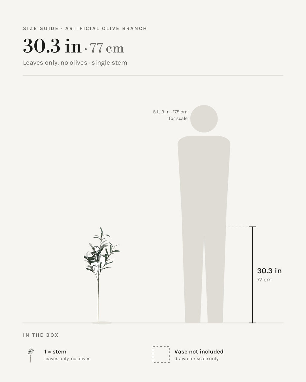 Size guide: leaves-only stem with no olives at 30.3 in, beside a 5 ft 9 in figure