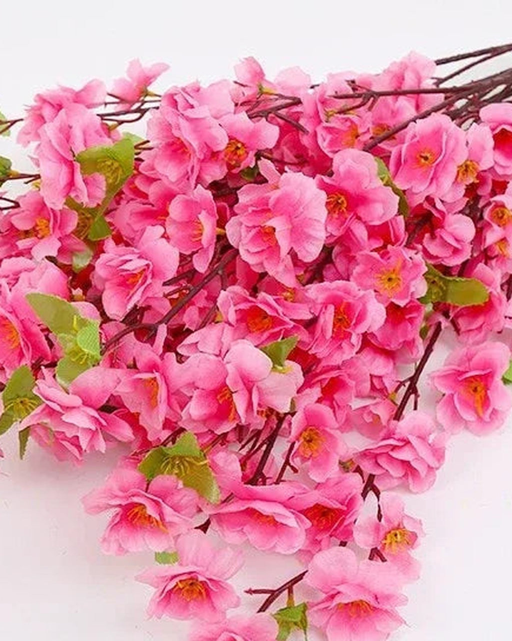 Pink peach blossom, close view of the flower color
