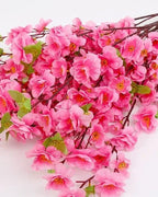 Pink peach blossom, close view of the flower color